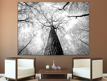 Tree Branch Wall Art Black And White Art Trees Canvas Print, Forest Wall Art Extra Large Wall Art Abstract Tree