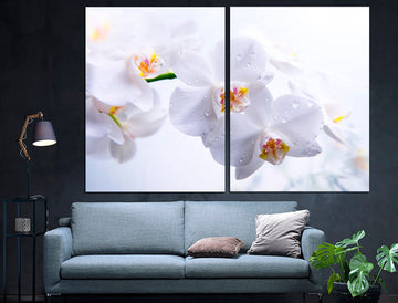 White Orchid Canvas Wall Art Orchid Canvas Spa, Orchid Wall Decor Flower wall art Orchid flowers