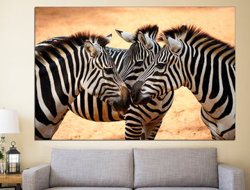 Zebra Wall Art Print Safari Nursery Art, Triptych Wall Art Zebra Home Decor Zebra Gift
