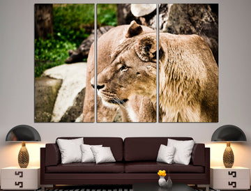 African Lion Print 5 Panel Canvas Animal, Lion Poster Print Canvas Wall Art Lion Home Decor