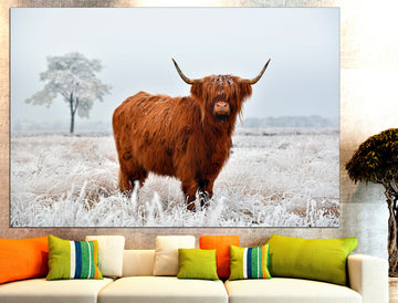Highland Cow In Snow Buffalo Print Cow Wall Art, Bull Print Cow Photography Highland Cow Decor Scottish Cow