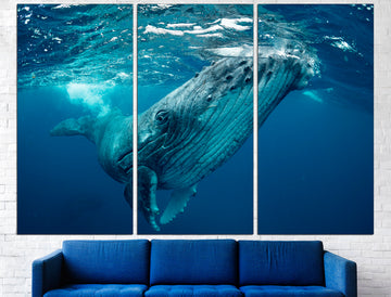 Whale Wall Art Whale Home Decor Whale Art Print, Whale Print Whale Bathroom Art Extra Large Wall Art