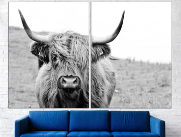 Highland cow picture | Highland cow print art | Highland cow prints on canvas - IDGROUP