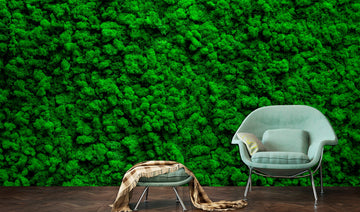 Moss art wall decor Green wallpaper Green wall art, Removable wallpaper Green moss print Home office wall art, Modern wallpapers