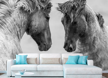 Horse wall art Removable wallpaper Black and white art, Wild horse print Peel stick wallpaper Gift for horse lover, Animal wallpapers