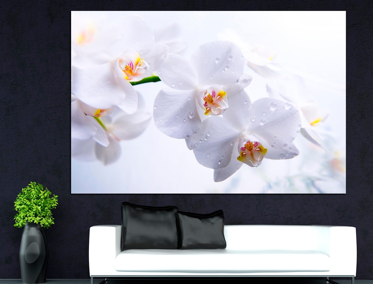 White Orchid Canvas Wall Art Orchid Canvas Spa, Orchid Wall Decor Flower wall art Orchid flowers