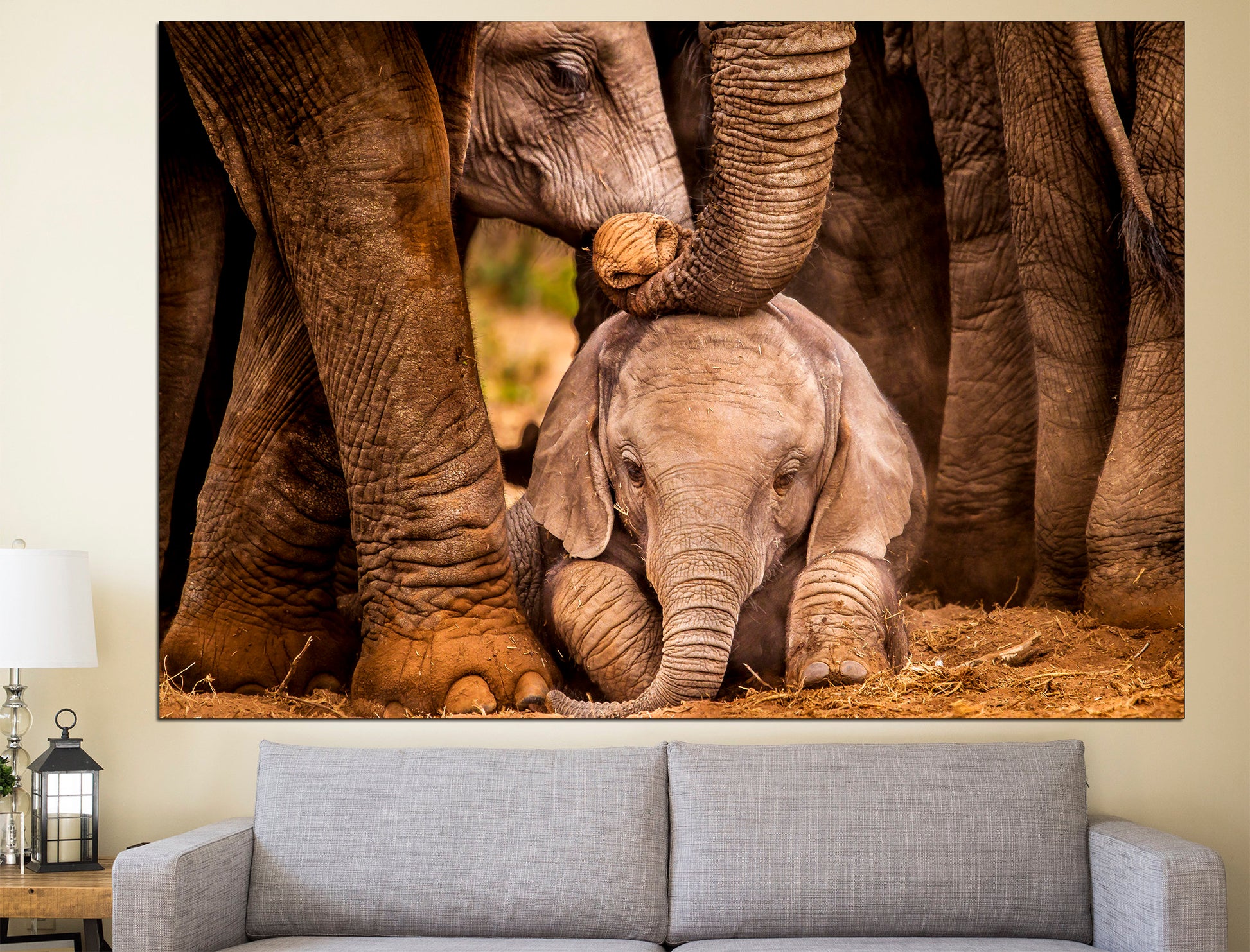 Baby Elephant African Elephant Elephant Room Decor, Elephant Canvas Elephant Photography Watercolor Elephant