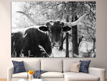 Texas longhorn print Black white cow Longhorn black white, Cow canvas print Texas wall decor